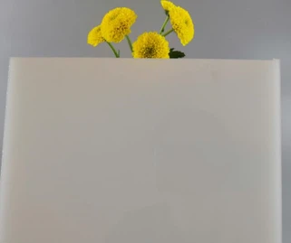 Hvit Frostet Perspex Sheet